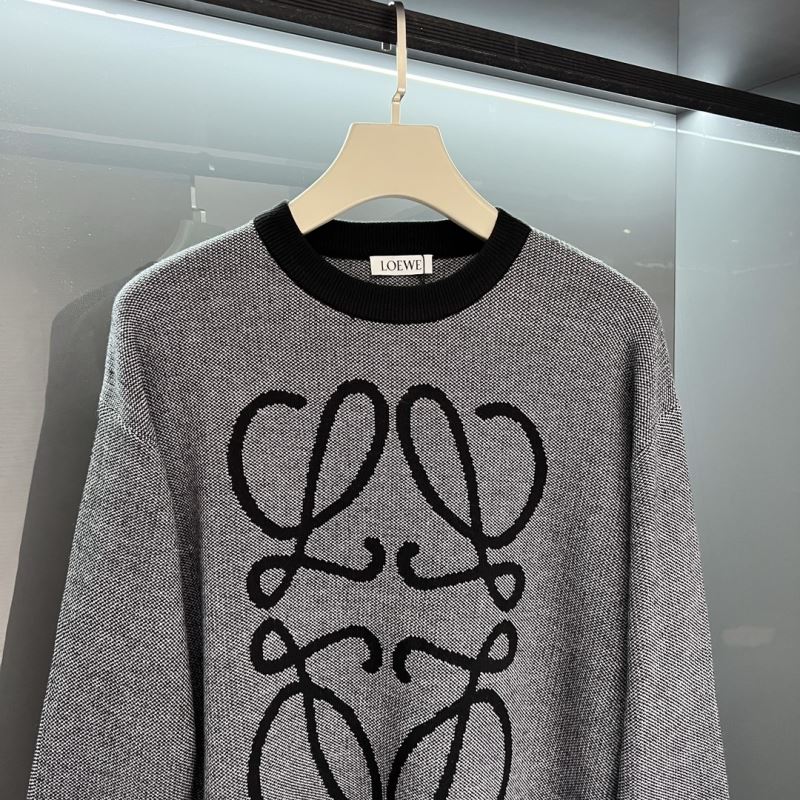 Loewe Sweaters